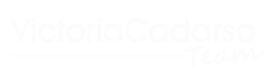 Logo VCteam